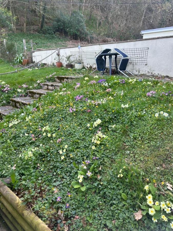 Appartamento Fernhill Retreat Charmouth Esterno foto